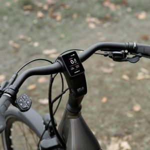 Giant AnyTour E+ Electric Bike