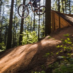 young mountain bike rider jumping in with style
