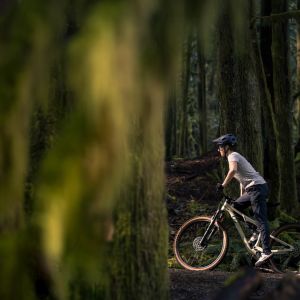 Woman riding Liv Embolden through a dense forest.