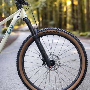 Front wheel and fork of Liv Embolden.