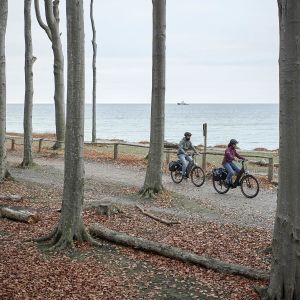 Giant AnyTour E+ Electric Bike