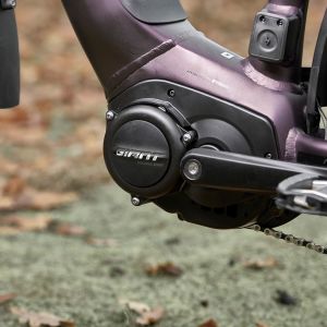 Giant AnyTour E+ Electric Bike