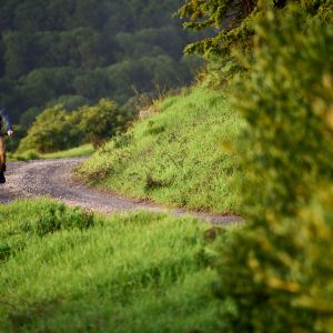 An adventure cyclist rides a rugged dirt road on their Giant AnyTour X E+.