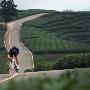 Road rider riding through hills of tea farm