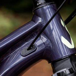 a close up of the headtube of the Liv Embolden 2 in Milky Way