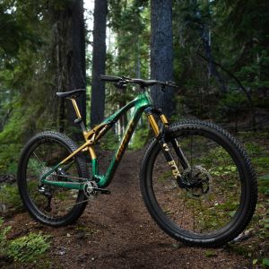 The Giant Anthem X Advanced SL staged in the forest.