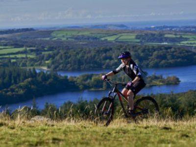 6 Ways to Get into Mountain Biking