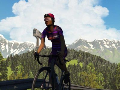 Building the Purple Armada: Meet Fran Bambust