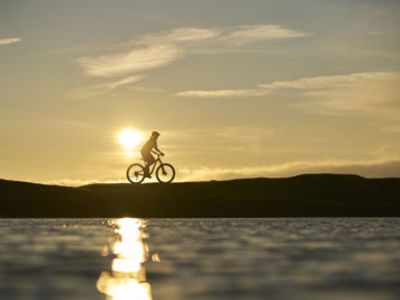 Seeking Gravity-Inspired Grins: Meet Olivia