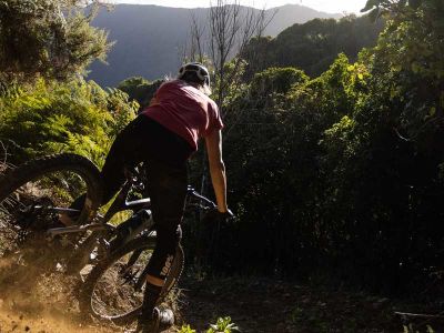 Embracing the Backyard