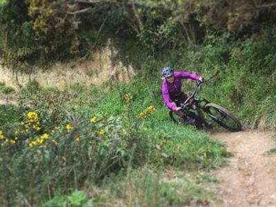 Rae Morrison's Hometown Guide: Wellington, New Zealand 