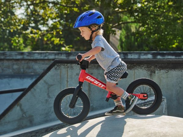 プッシュバイク「PRE PUSH BIKE」のカラー＆グラフィックを一新