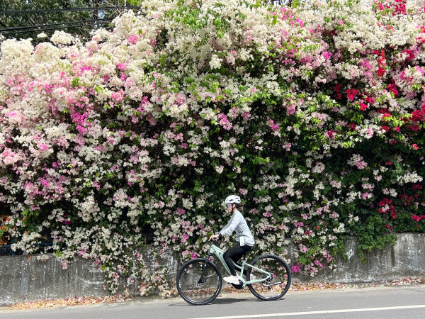 ROVE E+ 電動輔助自行車