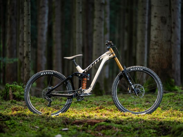 The Best Downhill Mountain Bike?
