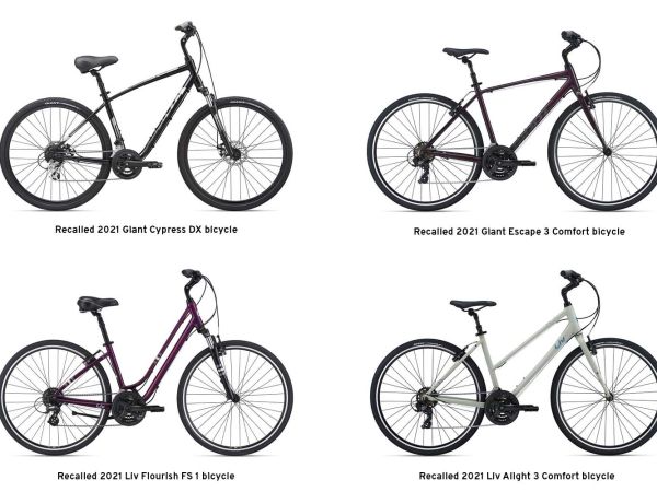 model year 2021 Giant Cypress DX, Giant Escape 3 Comfort, Liv Flourish FS 1 and Liv Alight 3 Comfort bicycles