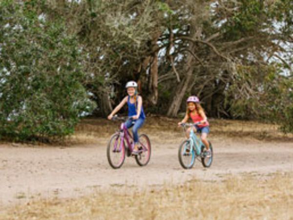 Back to School, Bike to School 