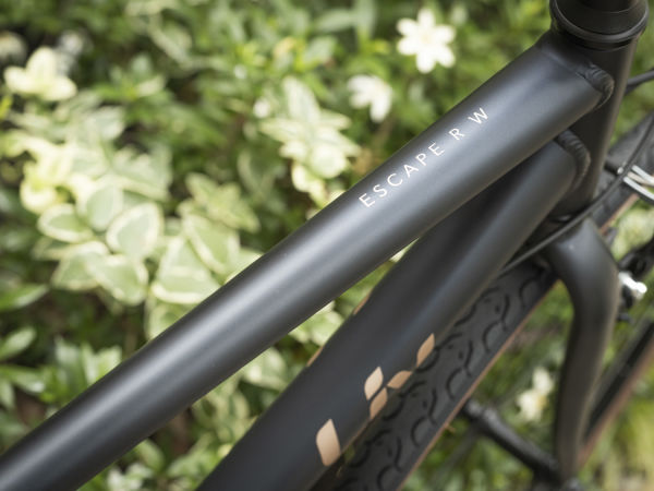 2026「ESCAPE R Wシリーズ」先行発売　Eバイク「ESCAPE R W E+」新色登場/新価格に