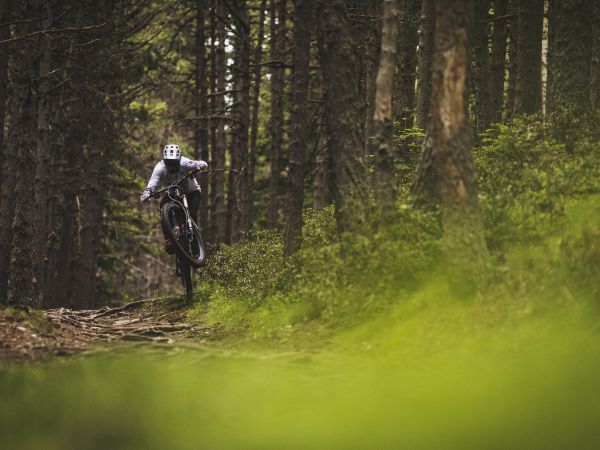 Cédric Gracia nous parle de l’écosystème Giant Hybrid