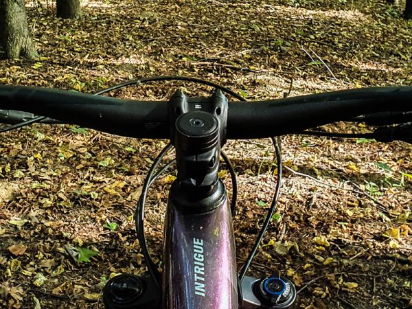 Czas na rowery górskie nadal trwa! Jak zadbać o rower jesienią? 