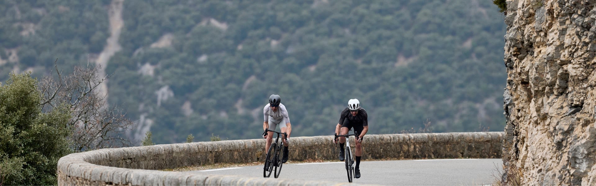Men riding Giant bikes on road