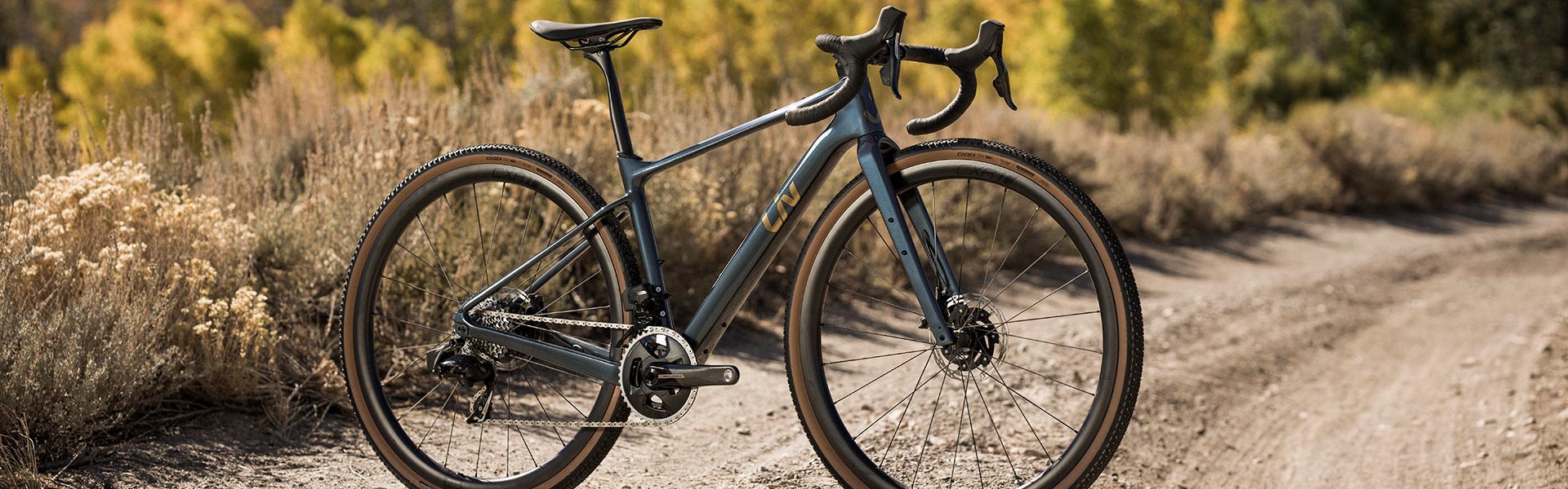 profile of Liv devote bike