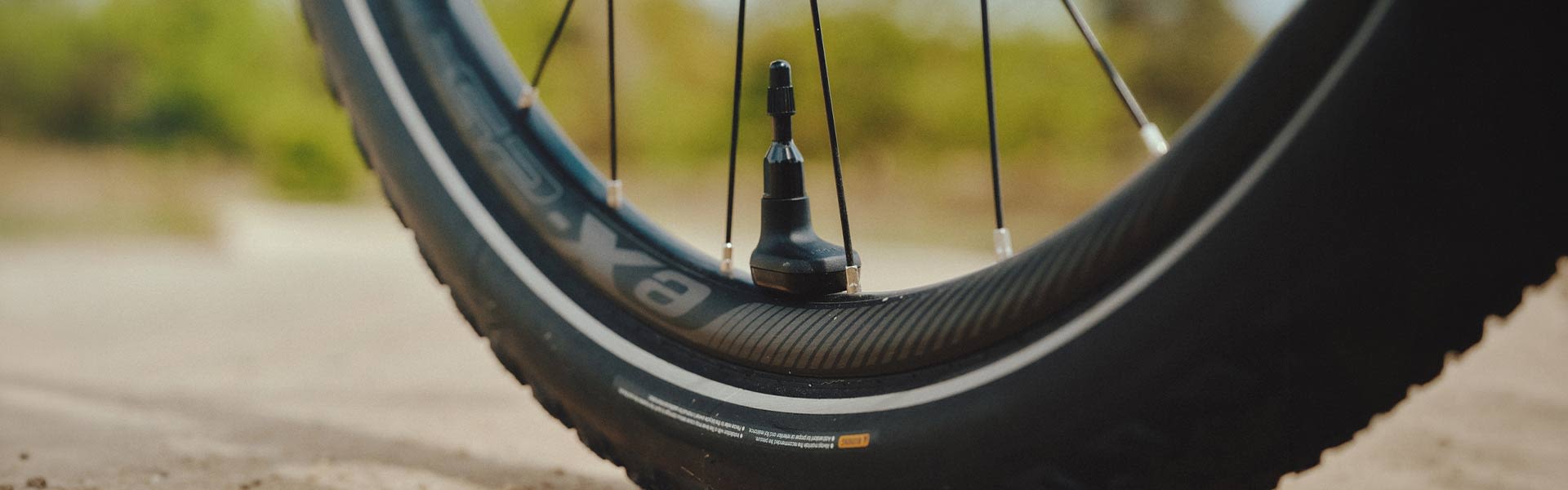 Closeup of Aegis Tire Checker