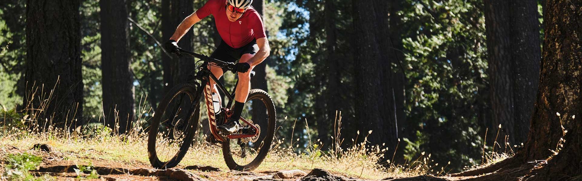 Anthem Advanced 29