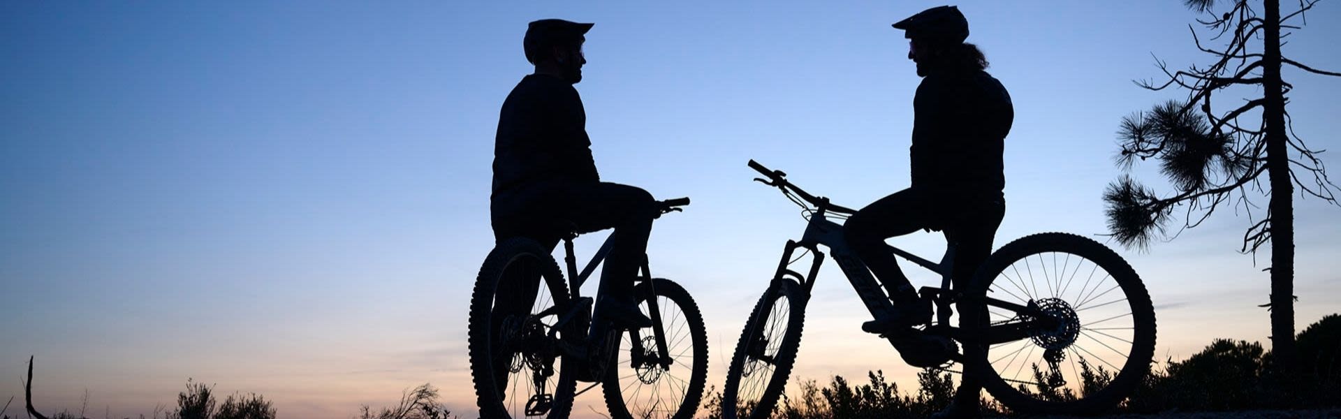 Discover Giant E-Bike Technology