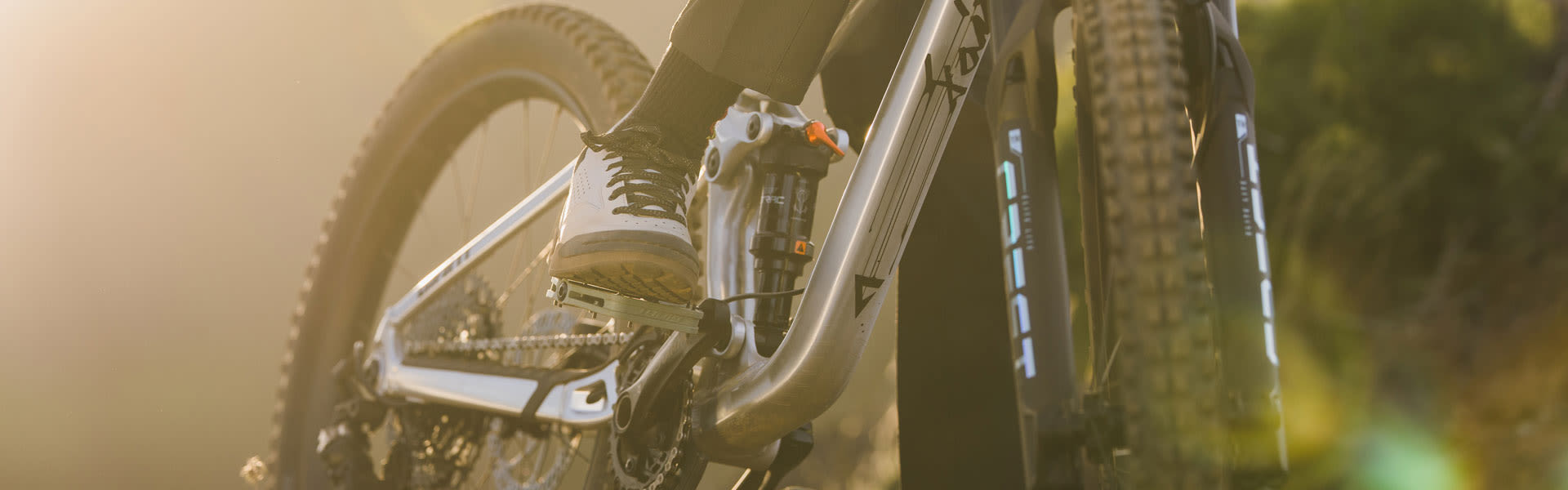 detail of suspension shock