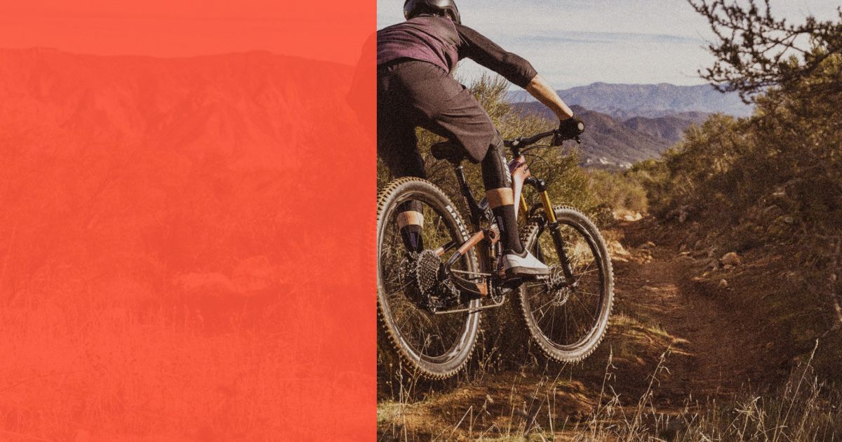 Factory Backed Sale Giant Bicycles New Zealand