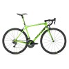 Image 1 of 3 - Neon Green