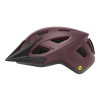 Image 1 of 2 - Matte Fig