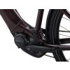 Image 4 of 8 - Rosewood Detail 1