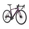 Image 2 of 3 - Chameleon Purple Front Angle