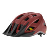 Image 1 of 2 - Matte Burgundy