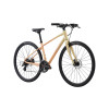 Image 11 of 12 - MY26 Alight 3 Disc_Apricot-Front