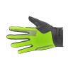 Image 1 of 2 - Illume LF Glove