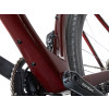Image 10 of 10 - Dark Red Detail 8