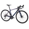 Image 2 of 2 - Chameleon Blue Angle