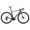 Image 1 of 6 - MY24 Langma Advanced Pro 1 Disc-AR_Color A Kelp Forest