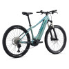 Image 3 of 3 - Fanatic Teal Rear Angle