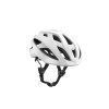 Image 1 of 18 - Matte-Mettalic-White