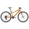 Image 4 of 6 - Orange / Black