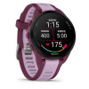 Image 17 of 20 - Garmin Forerunner 165 音樂智慧跑錶