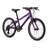 Image 6 of 9 - Purple Front Angle