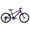 Image 5 of 6 - Purple