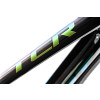 Image 5 of 5 - Carbon Detail 4