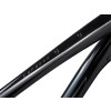 Image 6 of 10 - Black Detail 2