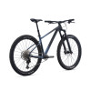 Image 4 of 9 - Black Blue Ashes Angle Rear