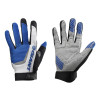Image 2 of 4 - Blue